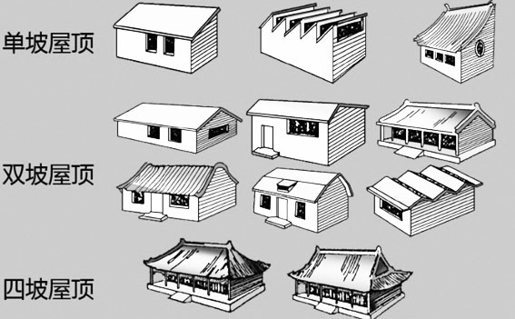 1592816116537719.jpg wd.jpg